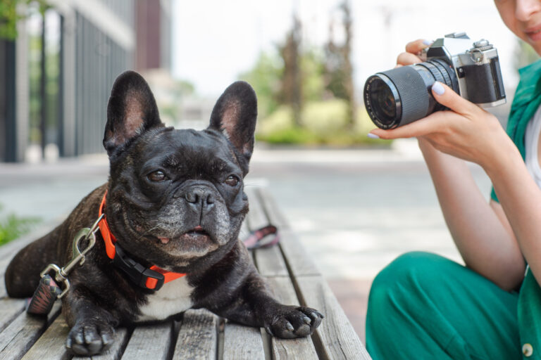 専属カメラマンに聞く！　愛犬を上手に撮影するコツ